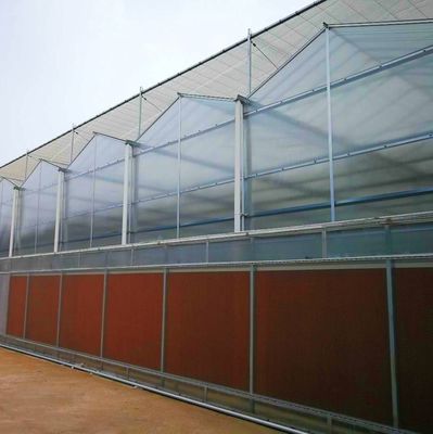 US Landbouw Multi Span Tunnel Plastic Film Greenhouses met Hydroponic System