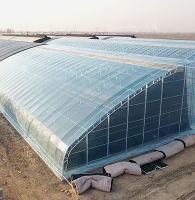 US Landbouw Multi Span Tunnel Plastic Film Greenhouses met Hydroponic System