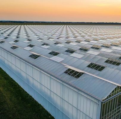 Transformeer uw landbouw ervaring met Tomato Komkommer Aardbeien Hydroponics System
