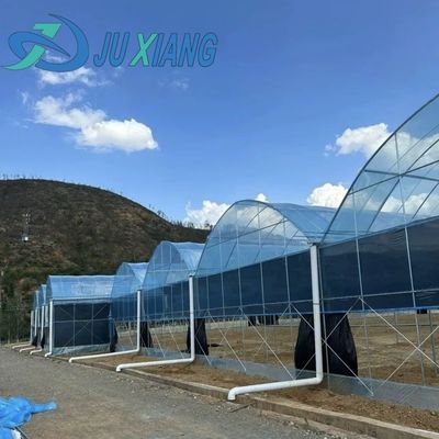 Transformeer uw landbouw ervaring met Tomato Komkommer Aardbeien Hydroponics System