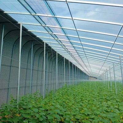 Transformeer uw landbouw ervaring met Tomato Komkommer Aardbeien Hydroponics System
