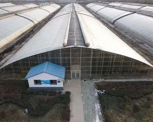 Transformeer uw landbouw ervaring met Tomato Komkommer Aardbeien Hydroponics System