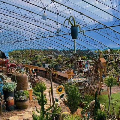 JX-A00160 Drip Irrigation Tunnel Greenhouse voor de landbouw aangepast aan uw behoeften