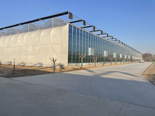Multi-Span Venlo glas kas met Cocopeat hydroponics systeem en aanpassing