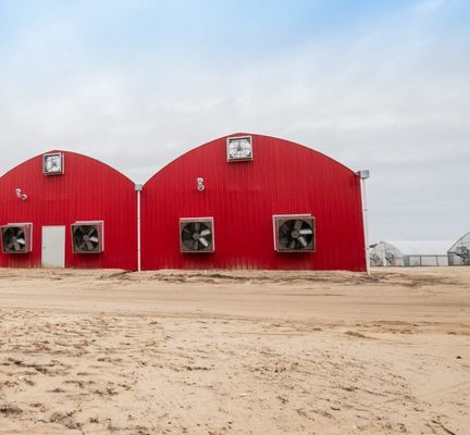 Blackout Mushroom Greenhouse voor grootschalige productie en teelt van paddenstoelen