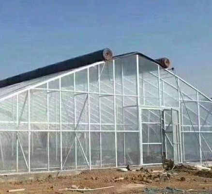 Blackout Mushroom Greenhouse voor grootschalige productie en teelt van paddenstoelen