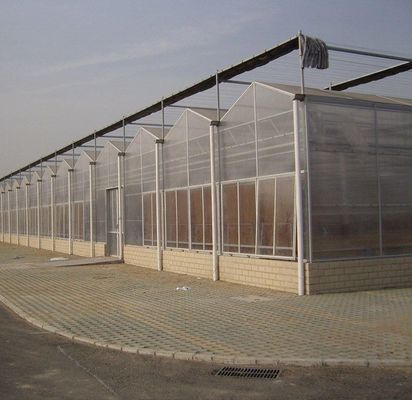 20GP 40GP 40HC Span Multi PE Film Plastic Agriculture Greenhouse Kit voor Multi-Span