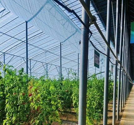 20GP 40GP 40HC Span Multi PE Film Plastic Agriculture Greenhouse Kit voor Multi-Span