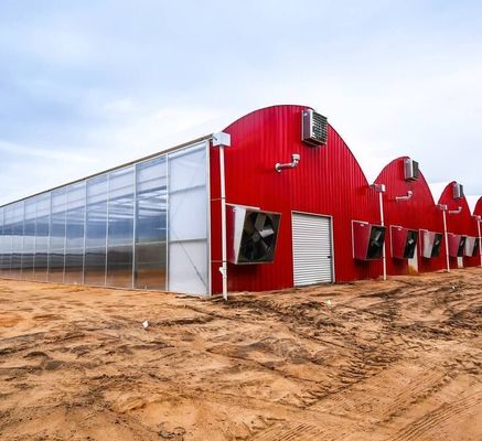Meervoudig waterpijp-hydroponisch kweekstelsel voor de efficiëntie van de kaswaterbouw