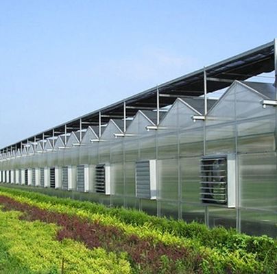 Grote Aquacultuur Tomaten Komkommer Aardbeien Hydroponics Kas met een hoge opbrengst