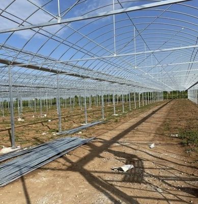 Grote Aquacultuur Tomaten Komkommer Aardbeien Hydroponics Kas met een hoge opbrengst