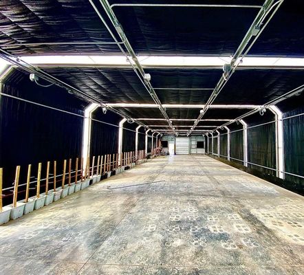 Grote Aquacultuur Tomaten Komkommer Aardbeien Hydroponics Kas met een hoge opbrengst