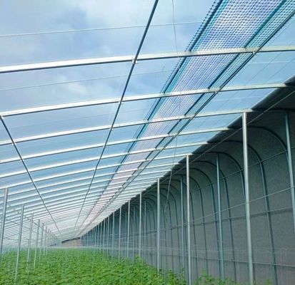 Oorsprong Eco-kweekhuis voor tomaten/capsicum/komkommers Staalstructuur en verzendkosten