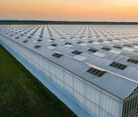Oorsprong Eco-kweekhuis voor tomaten/capsicum/komkommers Staalstructuur en verzendkosten