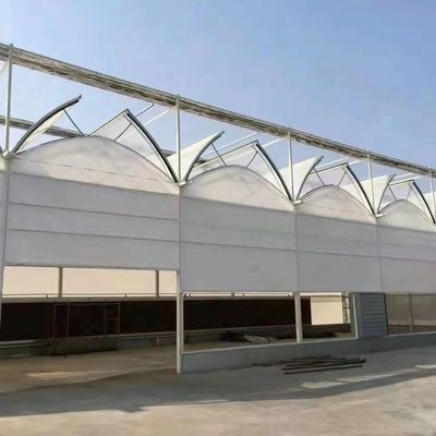 Tomaten/aardbeien/laten Multi-Span commerciële kas met plastic film