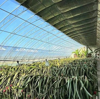 Tomaten/aardbeien/laten Multi-Span commerciële kas met plastic film