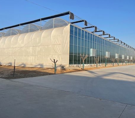 Tomaten/aardbeien/laten Multi-Span commerciële kas met plastic film