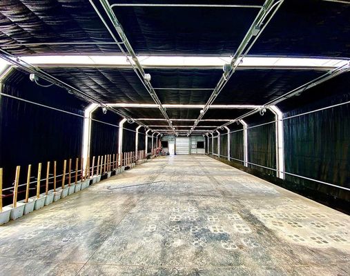 Multi-Span commerciële kas met einde bloemen sightseeing en gestreepte glazen terras