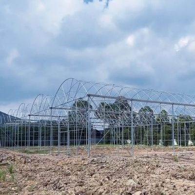 Multi-Span commerciële kas met einde bloemen sightseeing en gestreepte glazen terras
