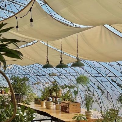 Pakket Grootte 50,00cm * 60,00cm * 50,00cm Tunnel kas voor landbouw en groenten