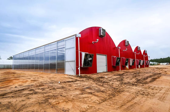 Aquacultuur Staalconstructie Zonne-kweekhuis met dekbed Rolluiken en materialen