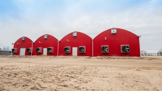 Aquacultuur Staalconstructie Zonne-kweekhuis met dekbed Rolluiken en materialen
