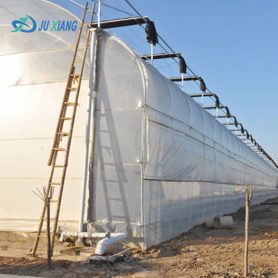 Aquacultuur Staalconstructie Zonne-kweekhuis met dekbed Rolluiken en materialen
