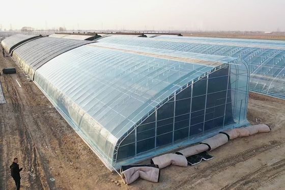 H sectie op maat gemaakte staalconstructie kasontwerp op basis van de behoeften van de Amerikaanse markt