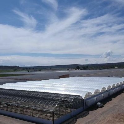 H sectie op maat gemaakte staalconstructie kasontwerp op basis van de behoeften van de Amerikaanse markt