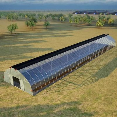 Commercieel kokopeaatverbouwingssysteem in een economische tunnelkas voor verbeterde gewassen