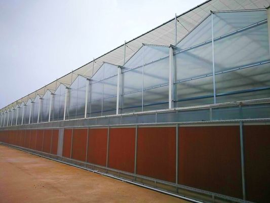 Commerciële broeikasten PE-film plastic landbouwbroeikasten voor de VS/Canada/Australië