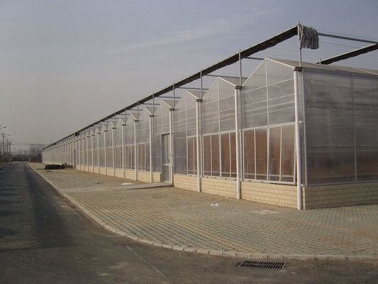 Eco-kasten voor groenten/plantjes