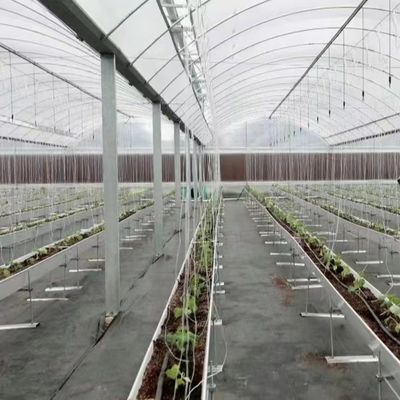 Multi-span kas met hydroponica en plastic filmmonsters US 20/m2