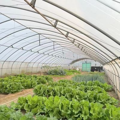 Multi Span Commerciële Kas Met Hydroponics System Custom
