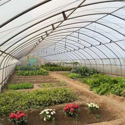 Revolutioneer uw groentenproductie met druppelverwatering