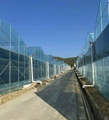 Multi-span film kas voor verticale landbouw Pakket Grootte 50,00cm * 60,00cm * 50,00cm