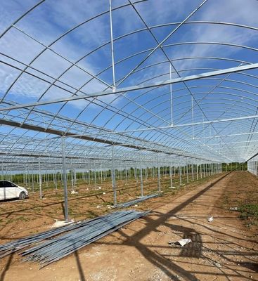 Multi-span film kas voor verticale landbouw Pakket Grootte 50,00cm * 60,00cm * 50,00cm