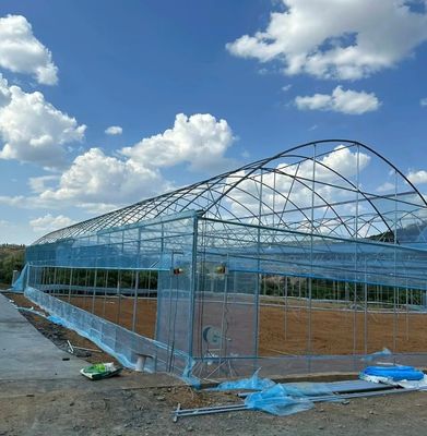 Multi-Span Film Serre met koeling/schaduw/irrigatie
