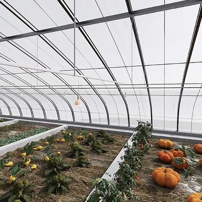 Groentehuis hydroponisch kweekstelsel met meervoudige boogtonnel