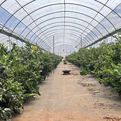 Filmomslagmateriaal Landbouw Tunnel kasoplossing voor grote gewassen