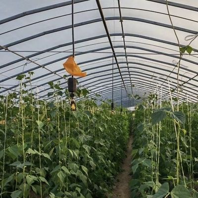 Chinese oorsprong film dekking kas installatie verzendkosten en geschatte levertijd