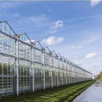 Zonnestroom kas voor het planten van capsicum geavanceerde groenten te kweken methode
