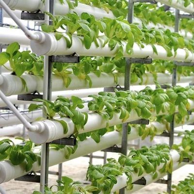 Verzendkosten en levertijden voor grootschalige hydroponische multi-span kassen