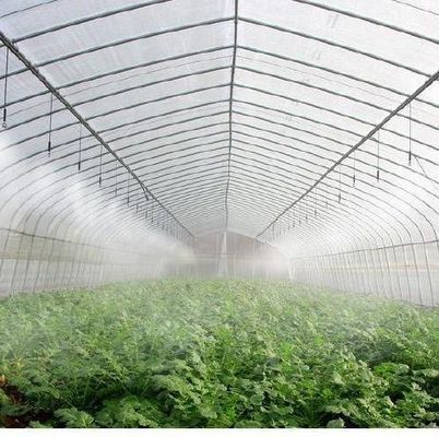 Custom Double Arch Beam Greenhouse voor groenten gepersonaliseerd aan uw behoeften