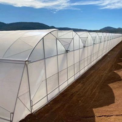 Custom Double Arch Beam Greenhouse voor groenten gepersonaliseerd aan uw behoeften