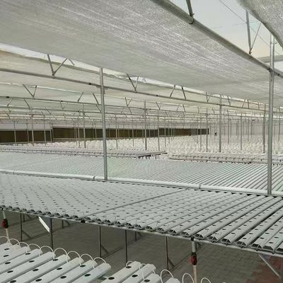 Op maat gemaakte aanvraag voor Venlo Multi Span Serre 1 vierkante meter Min.Order