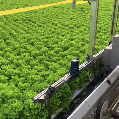 Landbouw Multi Span Greenhouse Plastic Film Hydroponics Verticaal Landbouwsysteem