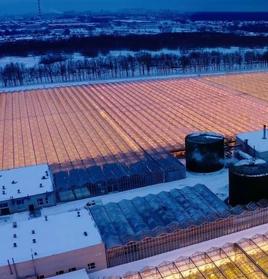 Groenhuis met dubbele boog voor het kweken van paddenstoelen Plastic sheet cover Single or Multi Span
