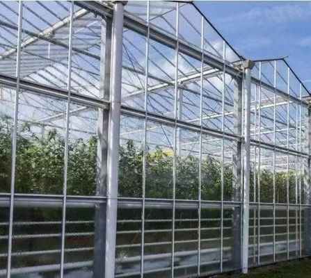 Groenhuis met dubbele boog voor het kweken van paddenstoelen Plastic sheet cover Single or Multi Span