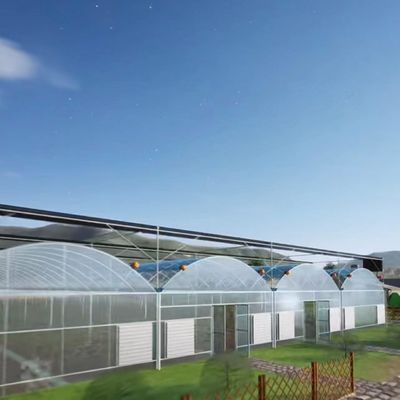 Hydroponische druppelbewatering met film 20.000 kg Pakket Bruto Gewicht